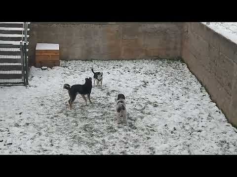 Copernica en vidéo 6