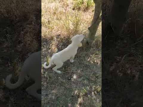 Briyelle en vidéo 1