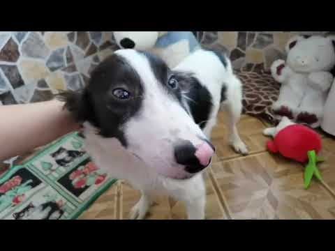 Lush en vidéo 2