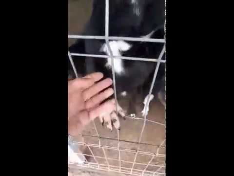 Narco en vidéo 8