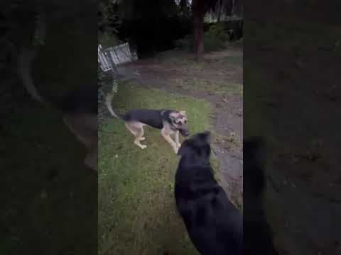 Lola en vidéo 4