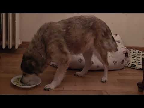 Fantine en vidéo 6