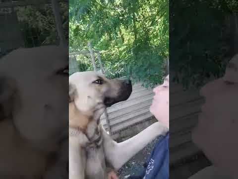Louki en vidéo 2