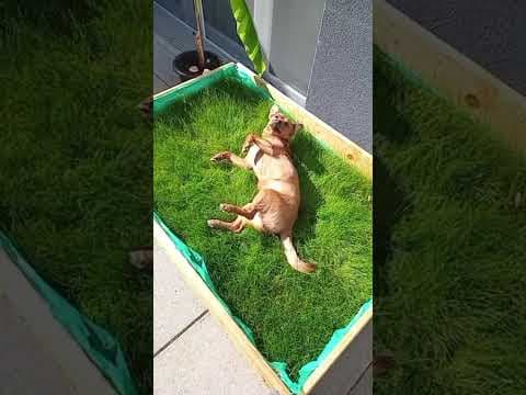 Lila en vidéo 2