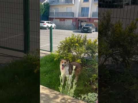 Terra en vidéo 6