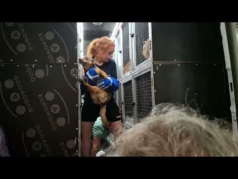 Katie en vidéo 3