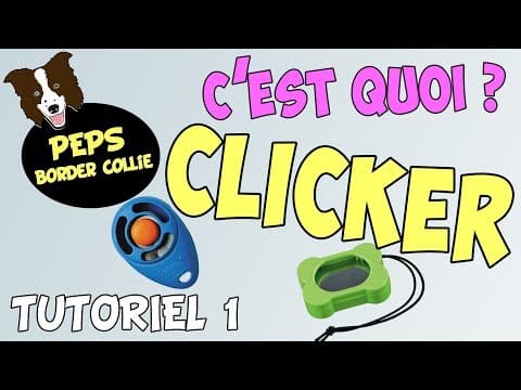 Litchee en vidéo 9