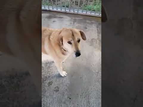 Blondu en vidéo 1