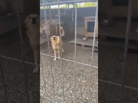 Hope en vidéo 1