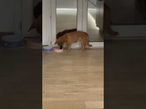 Artea en vidéo 11