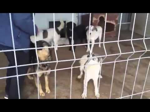 Violette en vidéo 2