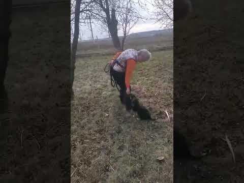 Samyboy en vidéo 2