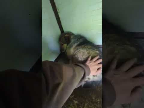 Yanna en vidéo 3