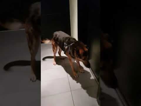 Enee en vidéo 12