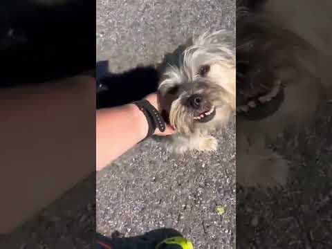 Kovou en vidéo 4