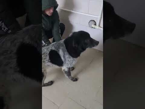 Flavio en vidéo 3