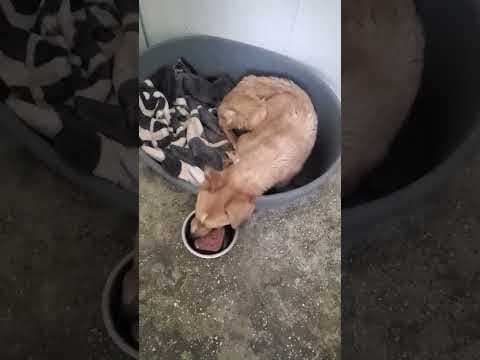 Evira en vidéo 3