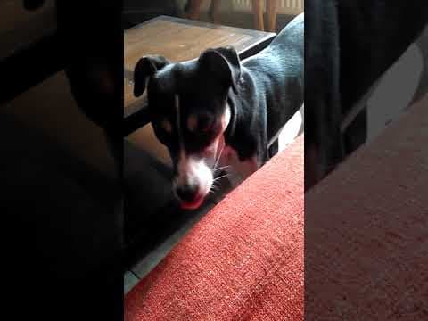 Salome en vidéo 5