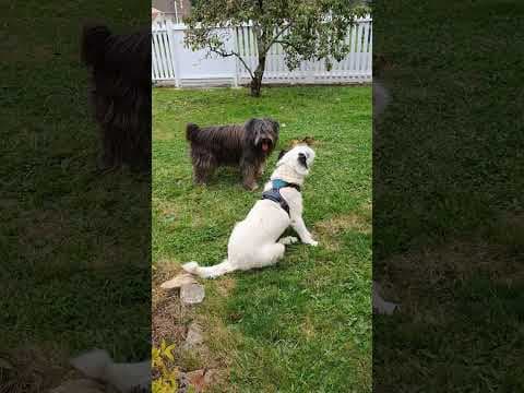 Aventura en vidéo 4