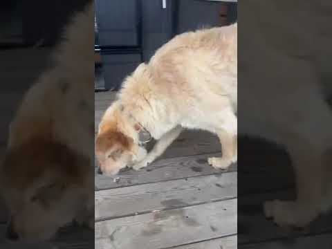 Oria en vidéo 2
