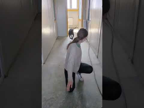 Rock en vidéo 3