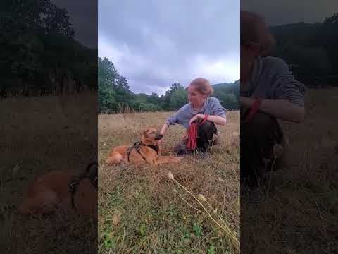Asahi en vidéo 2