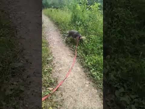Sorel en vidéo 1
