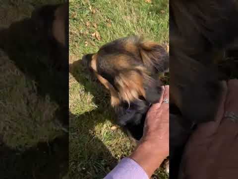 Pia en vidéo 9