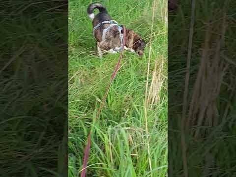 Bunker en vidéo 7