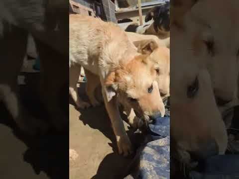 Oria en vidéo 1