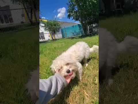 Nami en vidéo 5