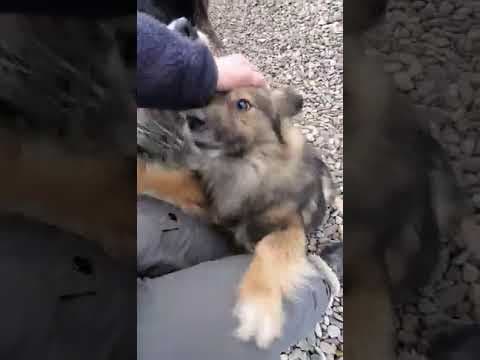 Tili en vidéo 1