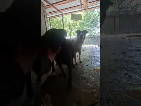Edgar en vidéo 2