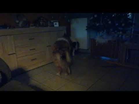 Hiona en vidéo 8