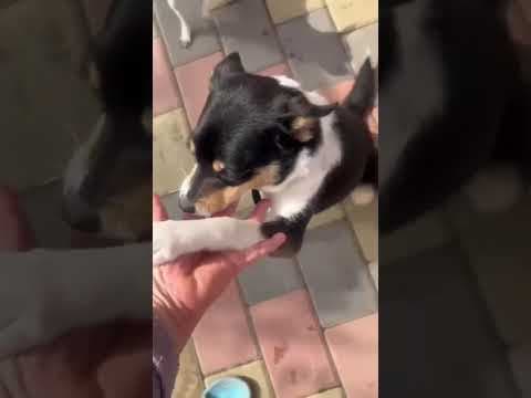 Mara en vidéo 1