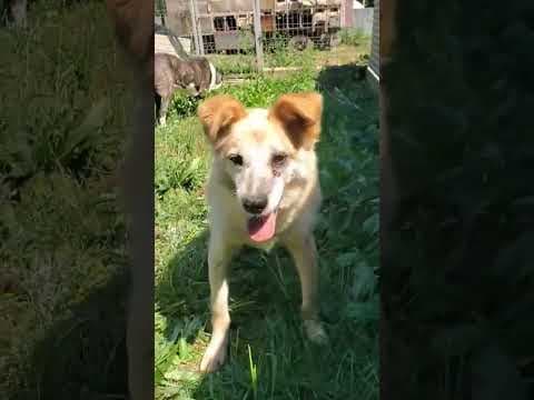 Tikk en vidéo 4