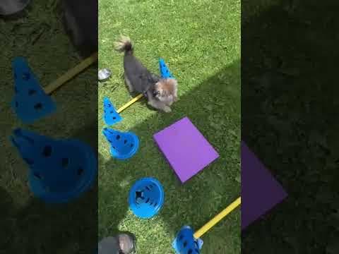 Kovou en vidéo 6