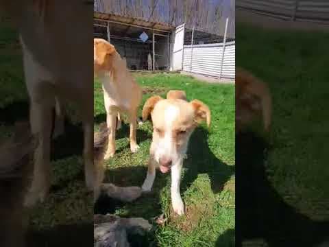 Rosalie en vidéo 1