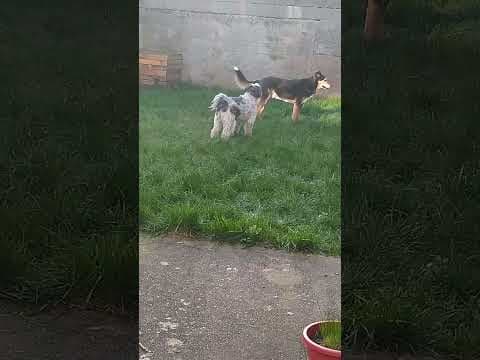 Copernica en vidéo 11