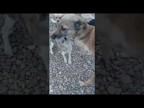 September en vidéo 1