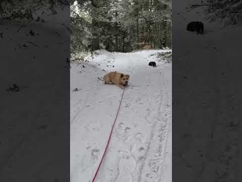 Evira en vidéo 4