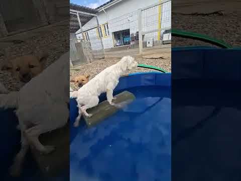 Nerusho en vidéo 1
