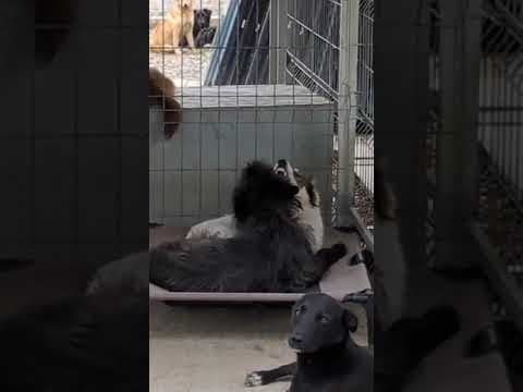 Mimi en vidéo 5