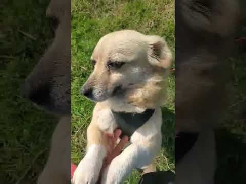 Zephira en vidéo 2