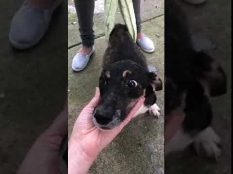 Lisette en vidéo 4