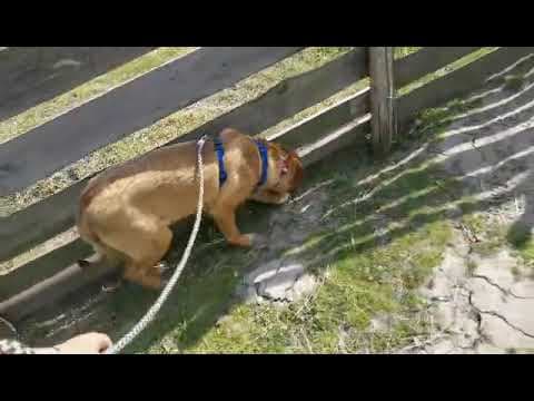 Beni en vidéo 8