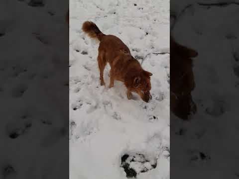 Thesee en vidéo 1