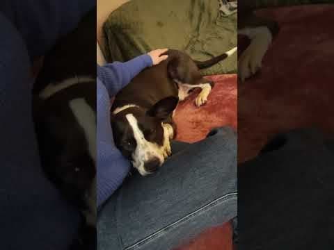 Kenjy en vidéo 7