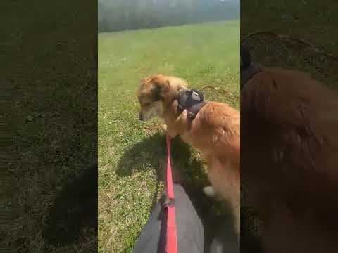 Youri en vidéo 1