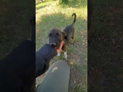 Yliana en vidéo 1